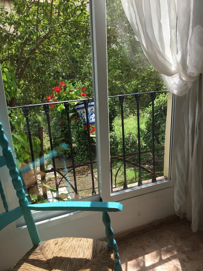 San Jose Guest House غرناطة المظهر الخارجي الصورة